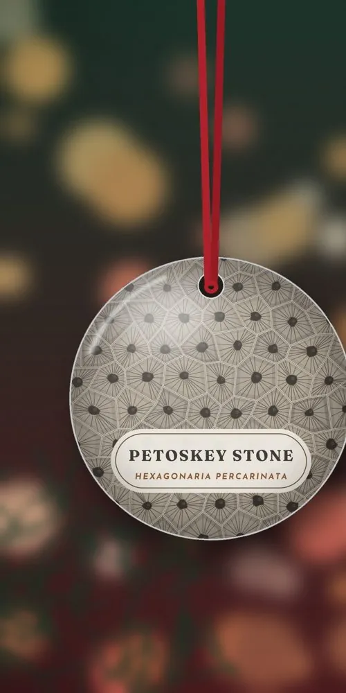 Petoskey Stone Ornament